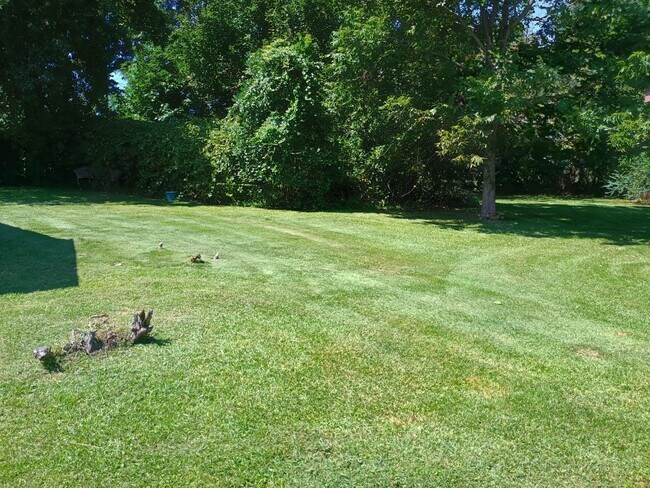Photo - 312 Walnut Creek Ct