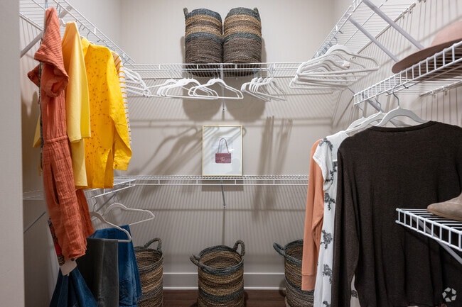 1BR, 1BA - Closet