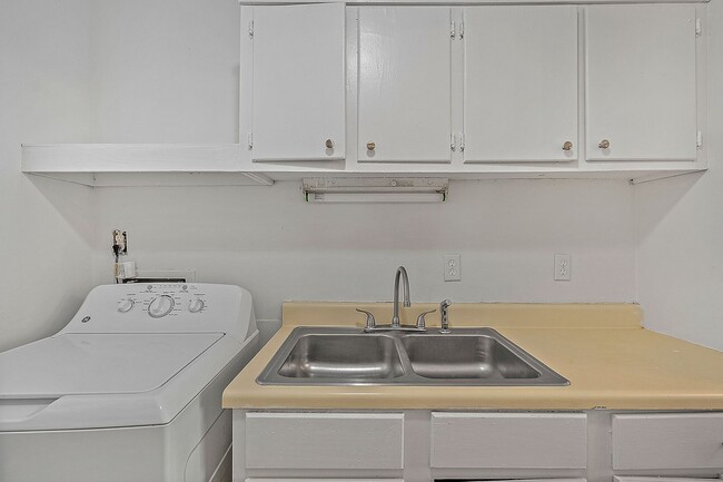 Photo - Avondale Forest