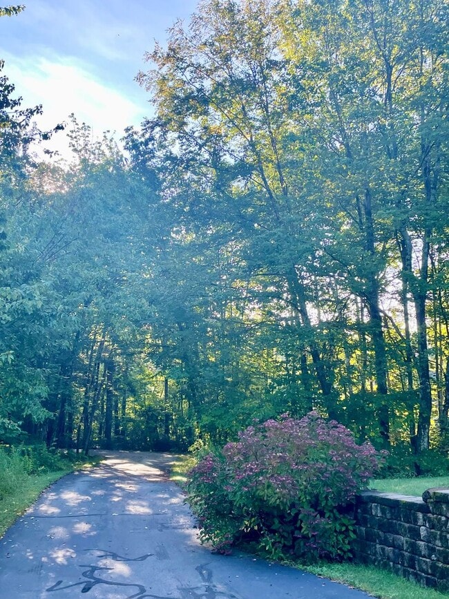 Photo - Stunning 5 bedroom Falmouth Home for Rent:...