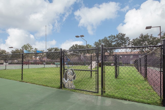 Photo - The Quinn at Westchase
