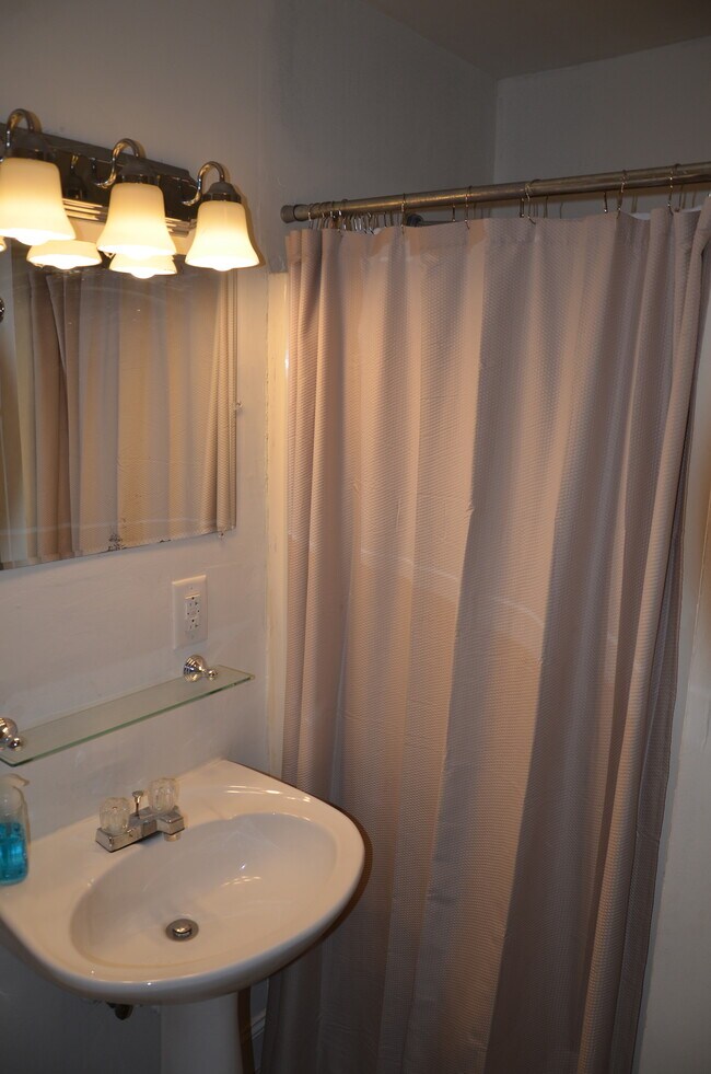 Owners suit shower - 115 Phipps St Townhome