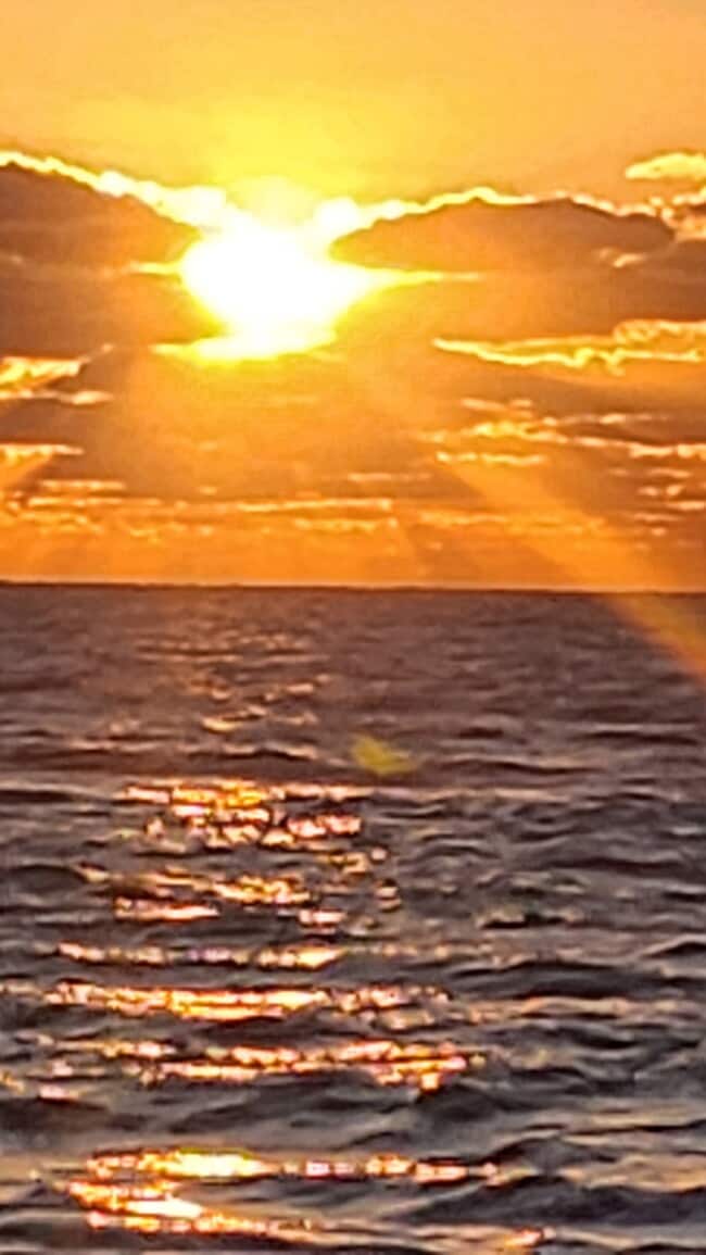 Building Photo - 1769 Manasota Beach Rd