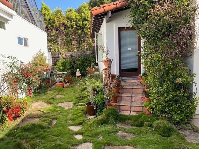 Front door and yard