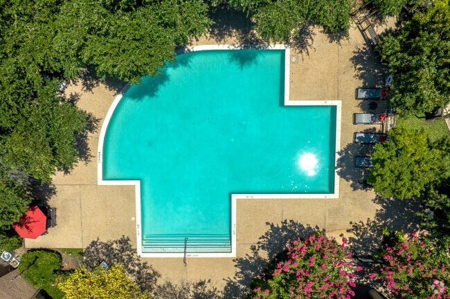 Swimming Pool and Lounge