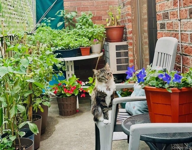 Building Photo - 66-07 242nd St Unit 13D