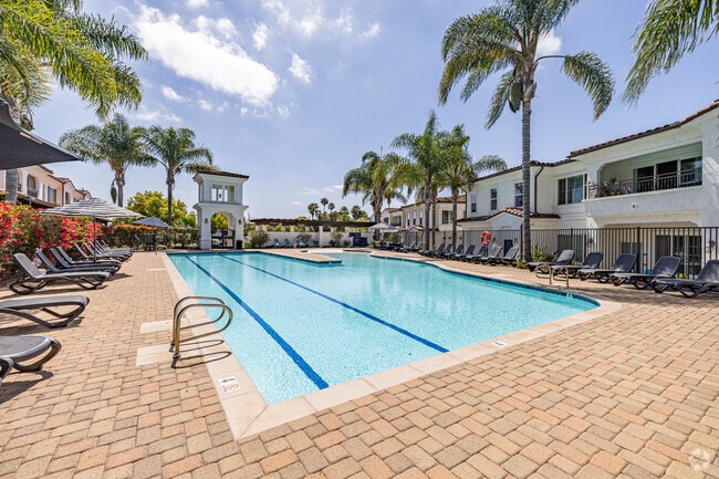 Pool - Town Park Villas