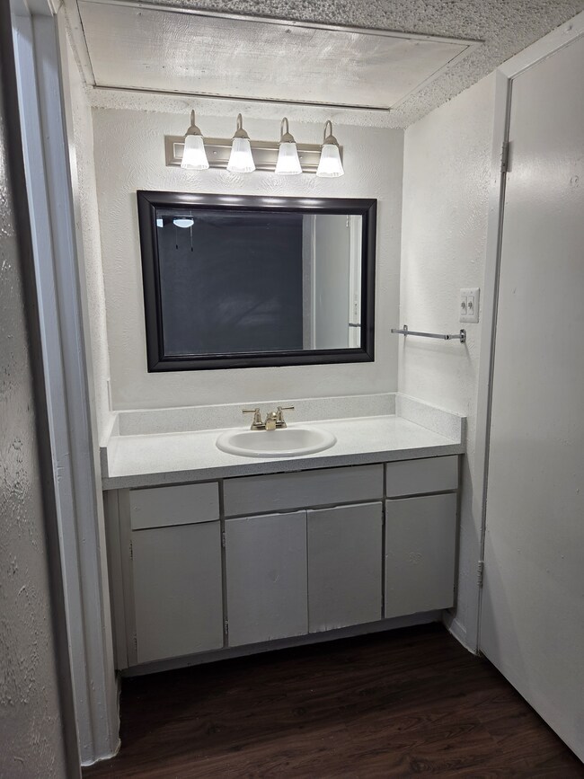 20250728_091641.jpg - Turtle Dove 1