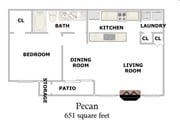 Pecan