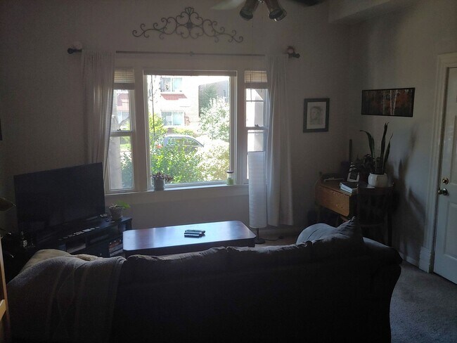 Photo - 1334 N Downing St Unit 1