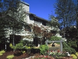 Photo - Island Homestead