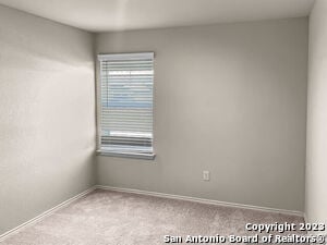 Photo - 863 Steeplebush