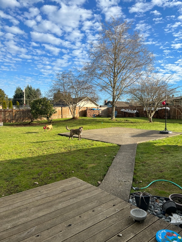 Photo - 1287 Paulding St