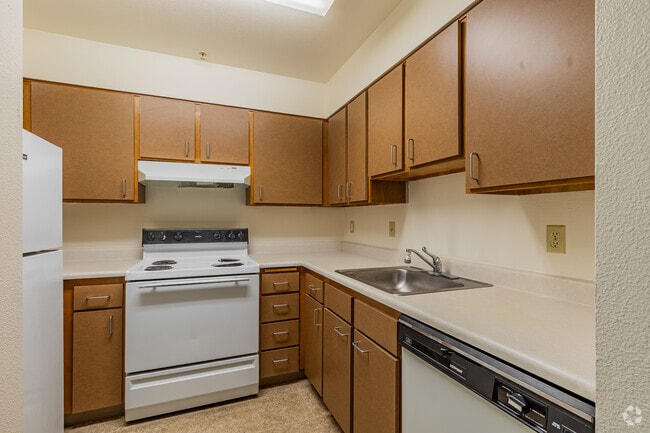 1BR, 1BA - 548SF - Kitchen