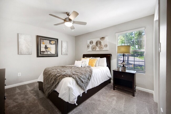 Photo - Reflections at Cherry Creek