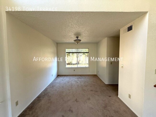 Photo - 34198 Tony Terrace