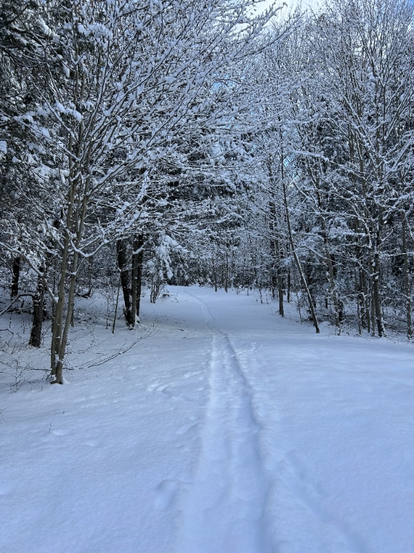 Photo - 316 E Mountain Rd