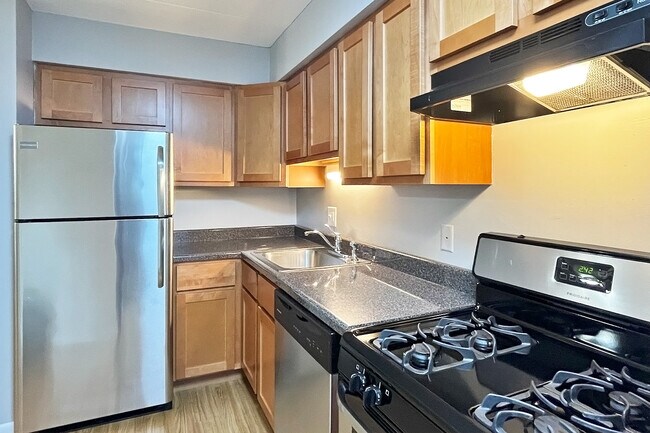 Photo - 527-533 Des Plaines Ave. and 7624-7626 Wilcox