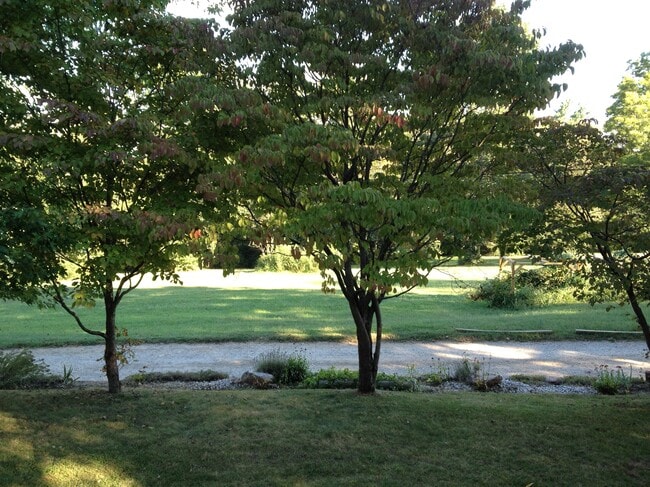 Photo - 11 Trexler Rd