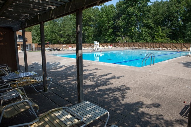 Radisson Pool