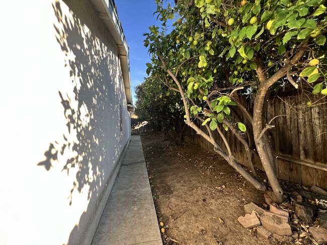 Photo - 2321 Banyan Way