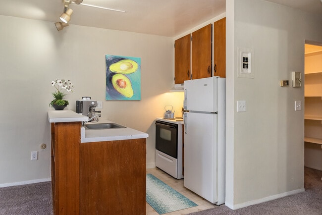 1033 Downing Apartments