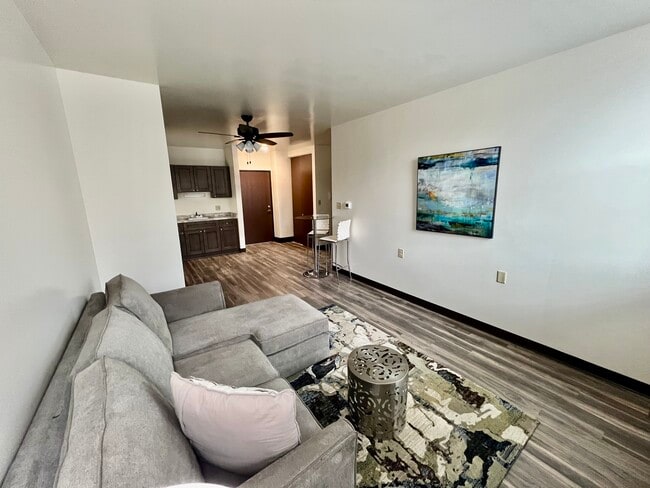 1 BD Model Unit LR/Kitchen