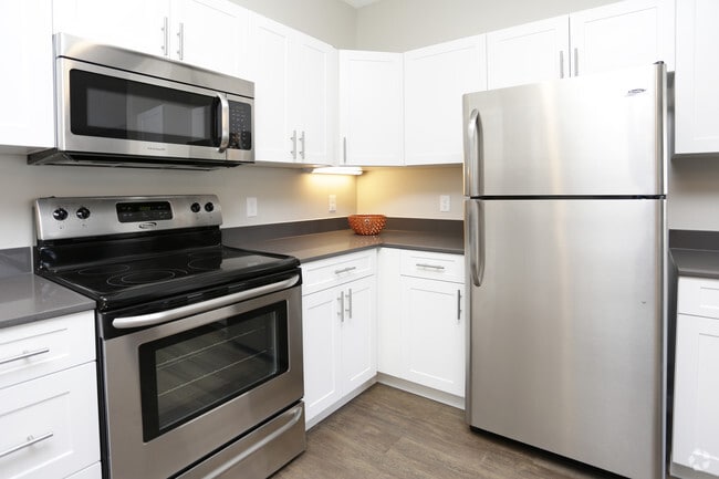 Stainless steel appliances and quartz counter-tops