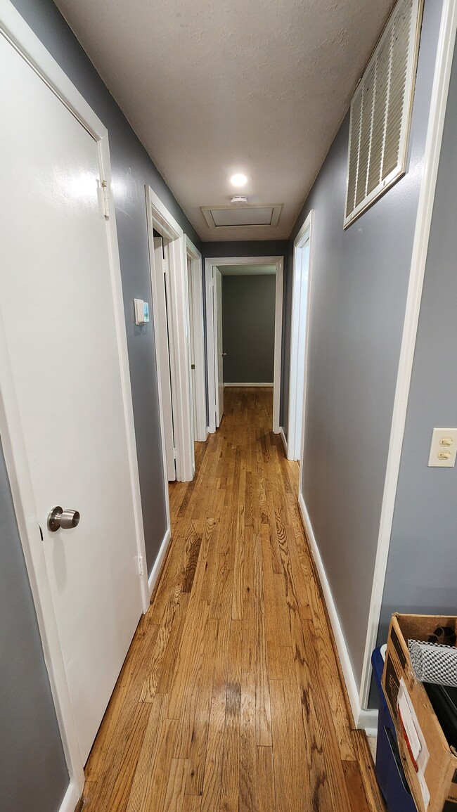 Corridor to Bath / Rooms - 703 Harding Ave