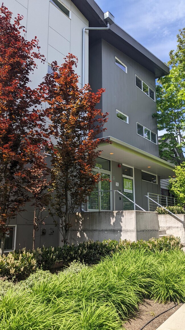 Photo - Lime Studios