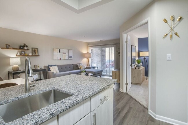 Photo - Elme Manassas