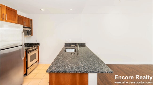 4 Emerson Pl Unit 1008