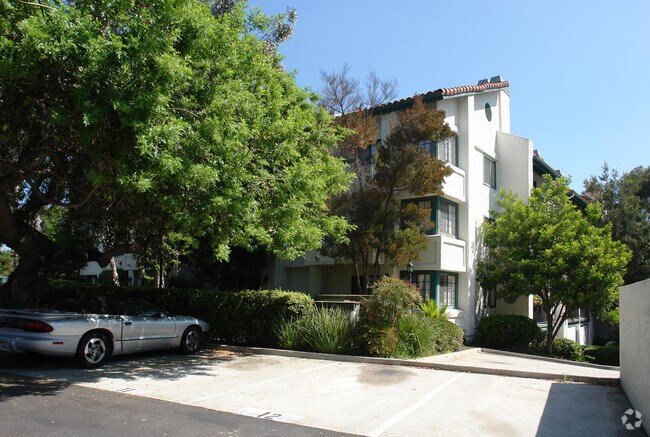 Photo - Shasta Greens