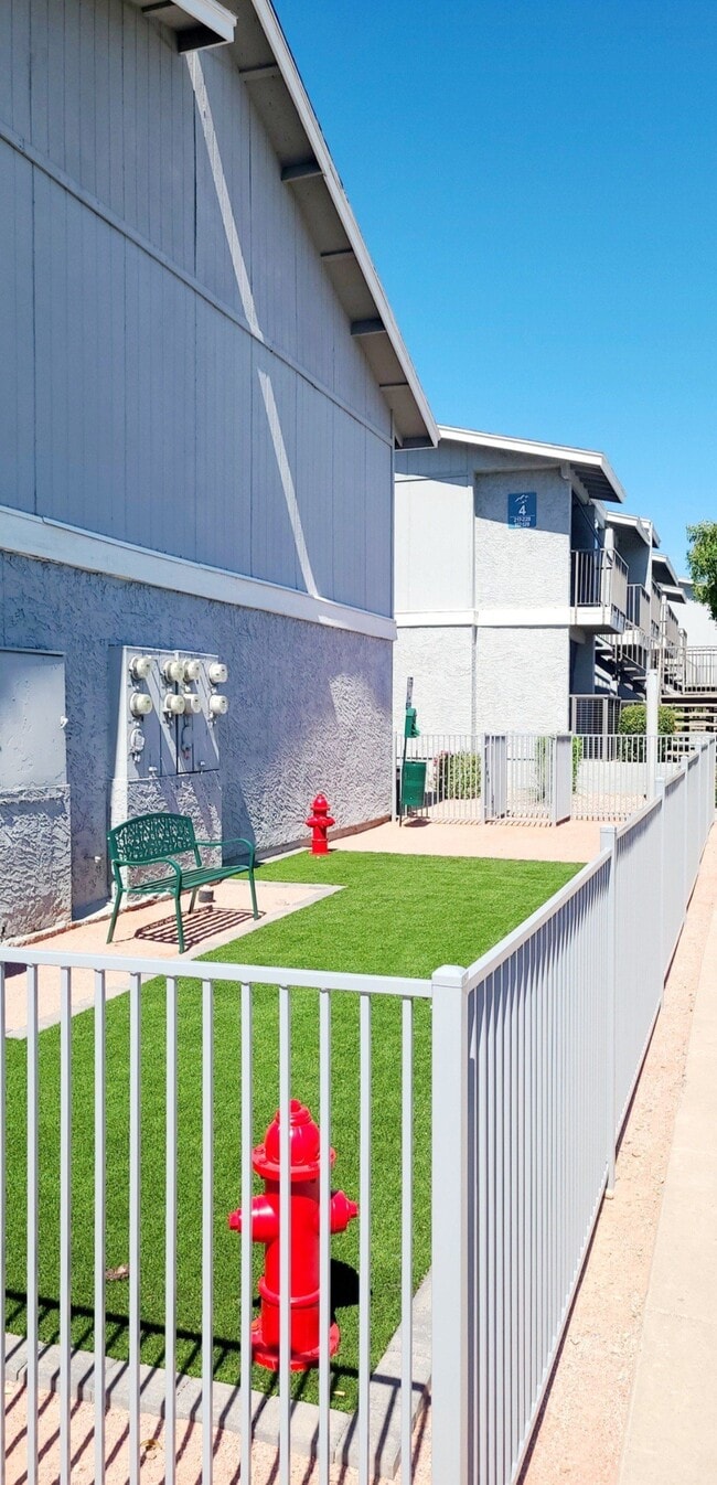 Dog Park for your Friendly Pets