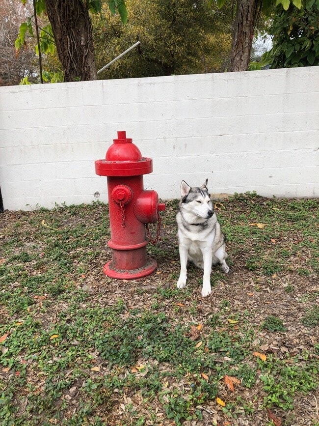 Photo - 115 S Lois Ave Unit 104