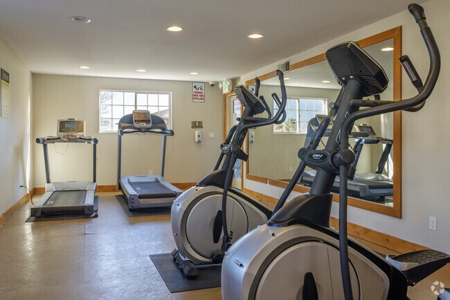 Gimnasio