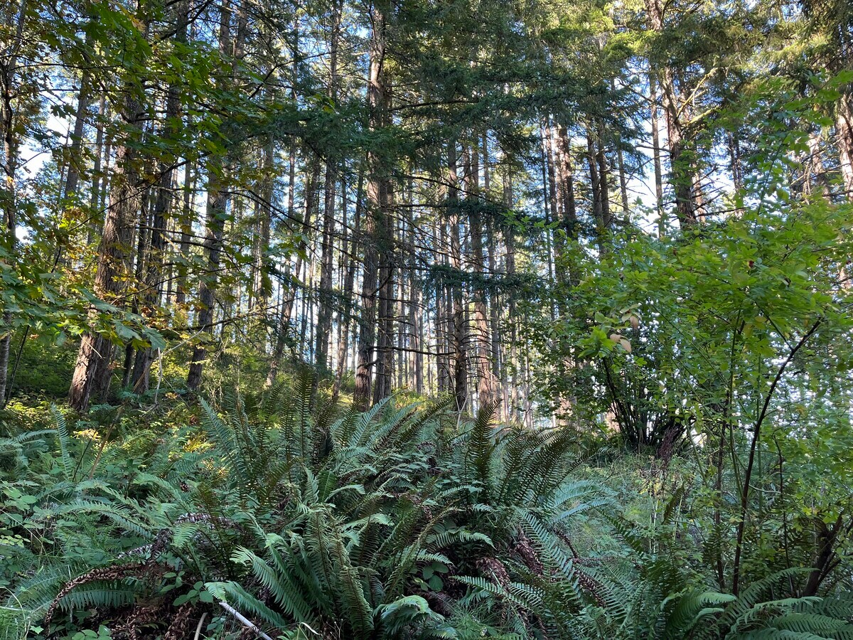 Photo - 30366 Fox Hollow Rd Unidad Heron's Hideaway