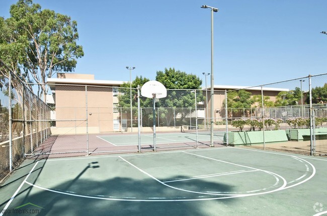 Basketball Court