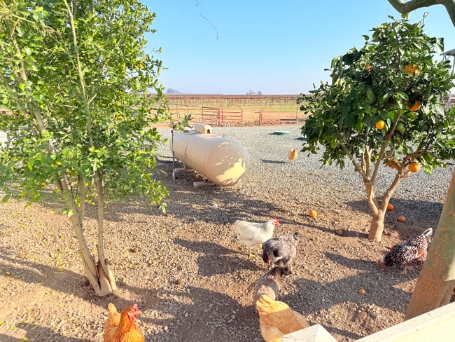 Photo - 14621 16th Ave