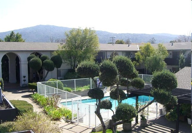 Piscina - Twelve Oaks Apartments