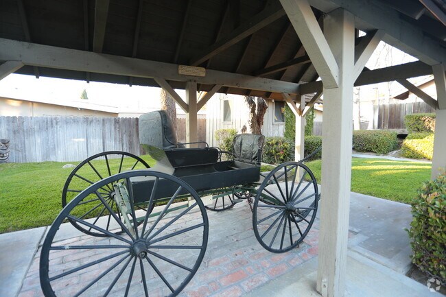 Photo - Country Woods