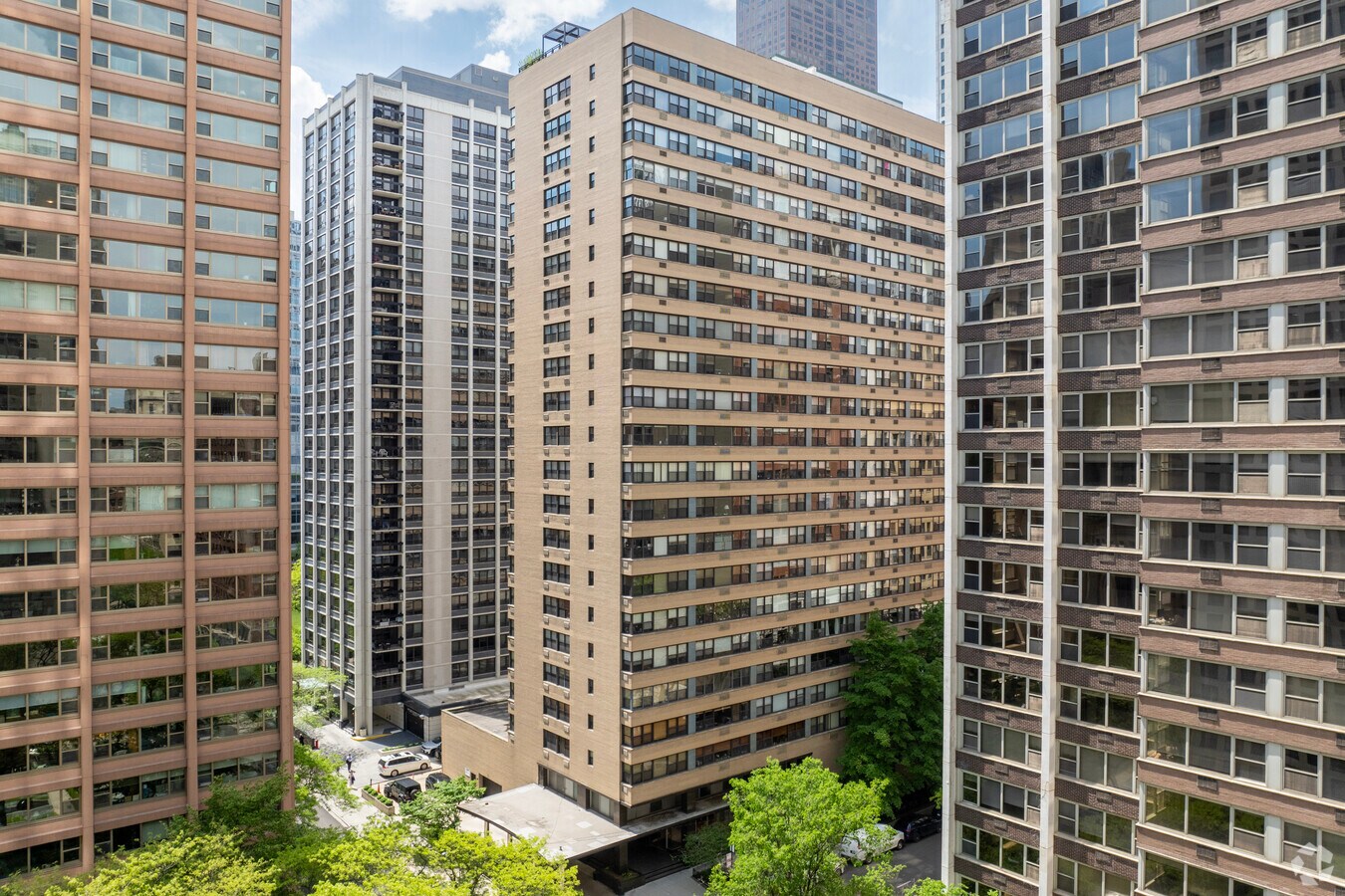 Primary - 850 N Dewitt Pl