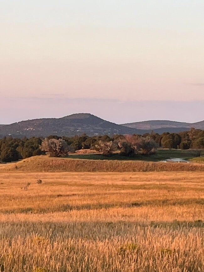 Photo - 236 Co Rd 3144