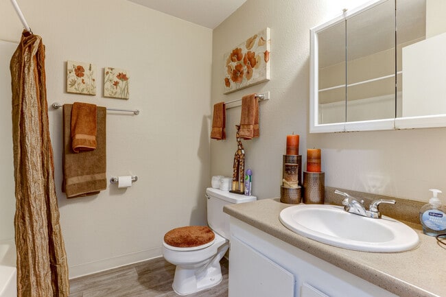 1BR, 1BA - 570SF - Bathroom - Wedekind Apartments