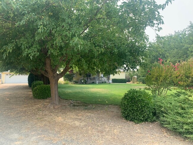 Photo - bowman18775 Unit 18775 Bowman Road, house B