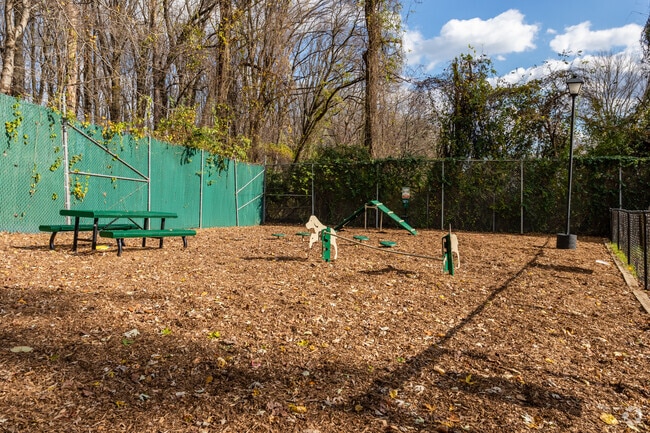 Dog park