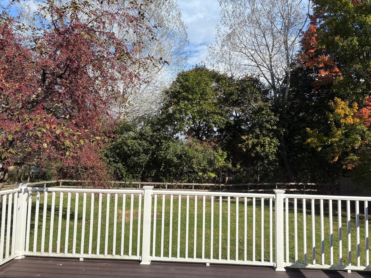 Photo - 168 Spear St