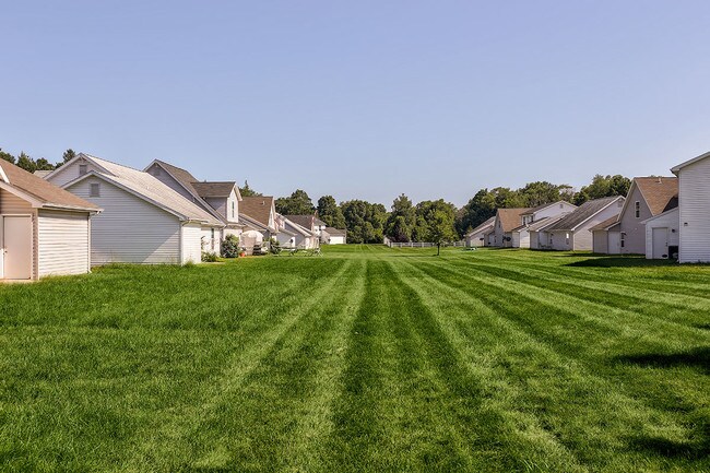 Photo - Doranne Greene