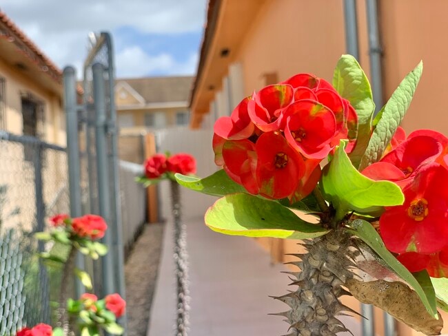 Photo - 6411 W 22nd Ct