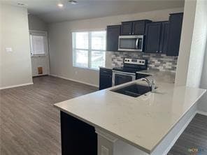 Photo - 2348 Arctic Warbler